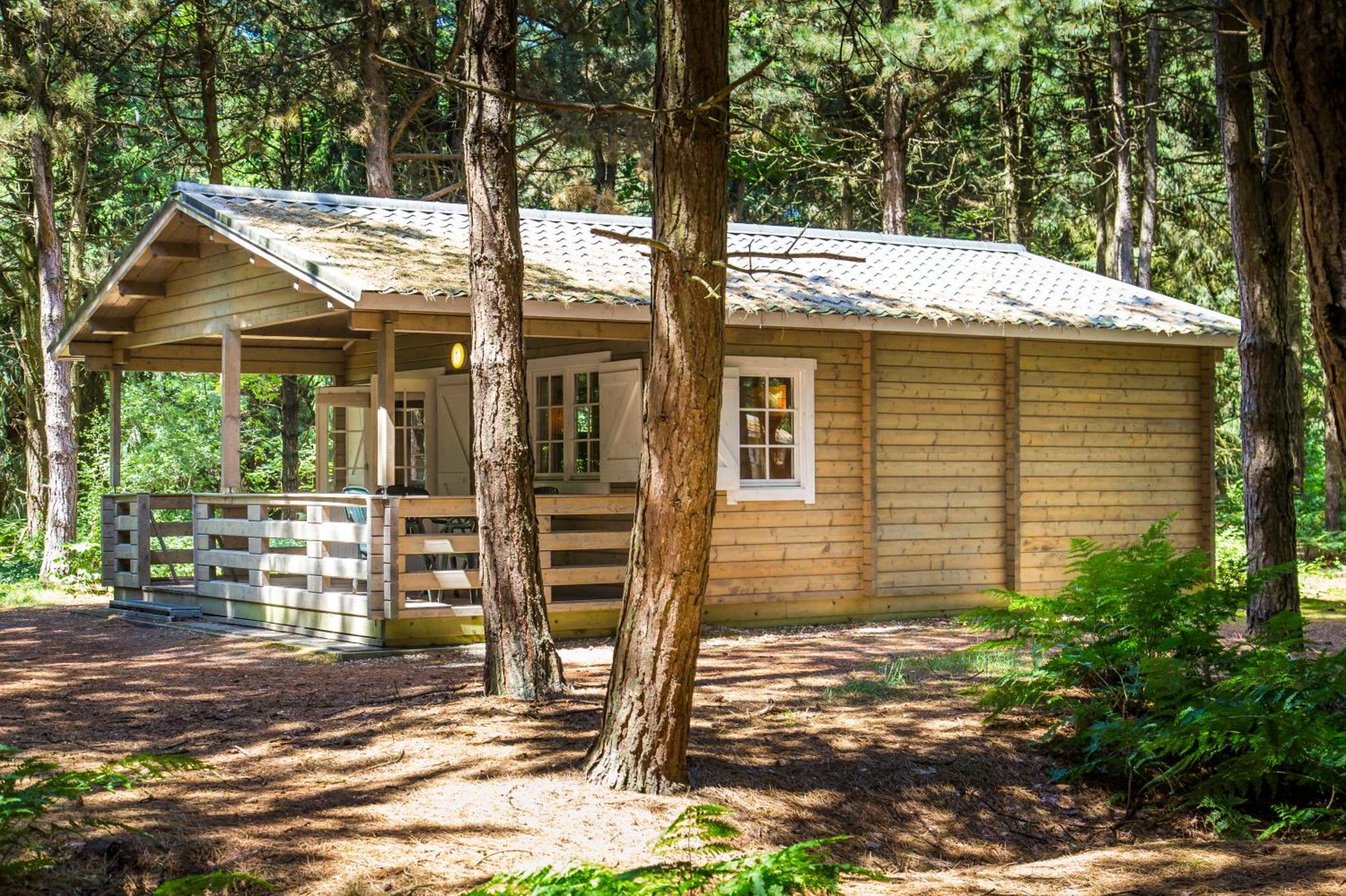 Hotel Rcn De Flaasbloem Chaam Camera foto